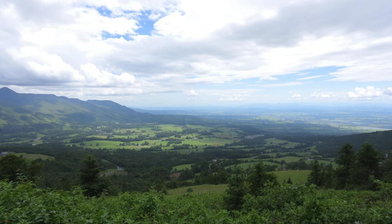 Trail running course through fire road trails in California, USA